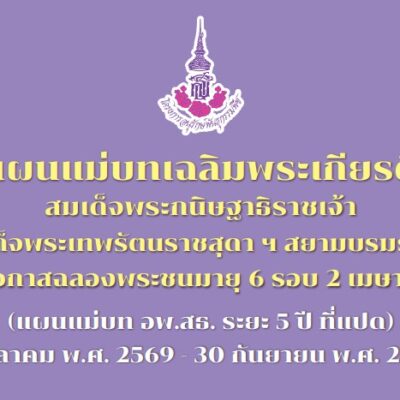 แผนแม่บทระยะ 5 ปีที่ 8